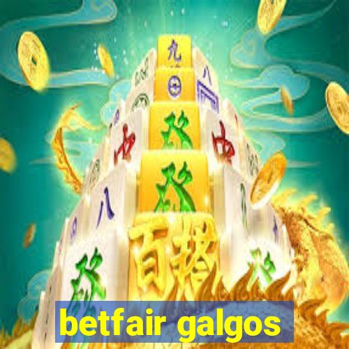 betfair galgos